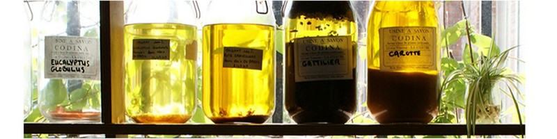 �y�R�f�B�i�g���C�A���Z�b�g�z��{�S�A�C�e�������񑗗������I���T�C�g